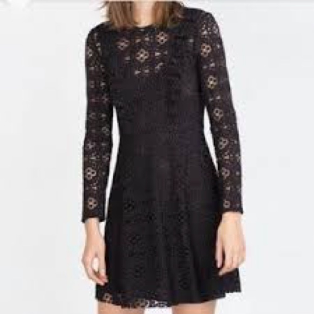 Zara fully in line black laced dress. Long sleeved, cotton lace size medium